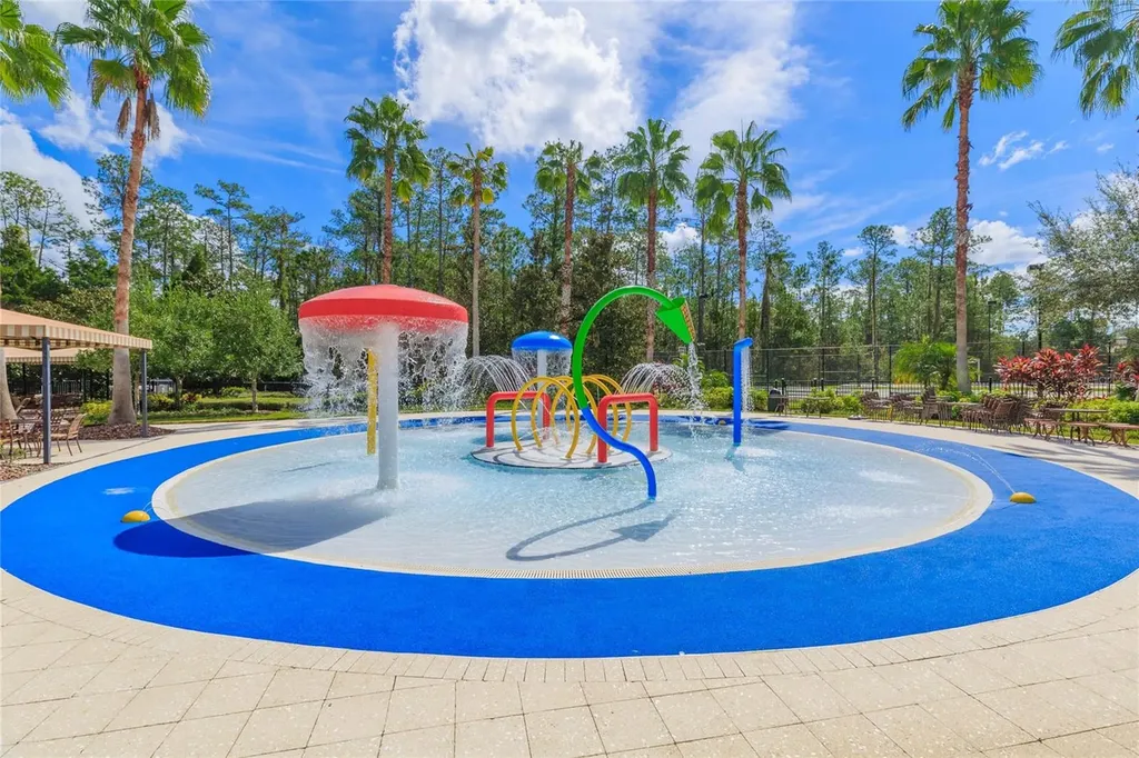 26731 Winged Elm Drive Wesley Chapel FL 33544