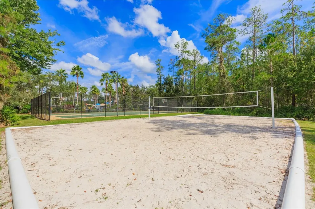 26731 Winged Elm Drive Wesley Chapel FL 33544
