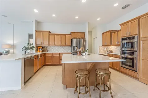 26731 Winged Elm Drive Wesley Chapel FL 33544