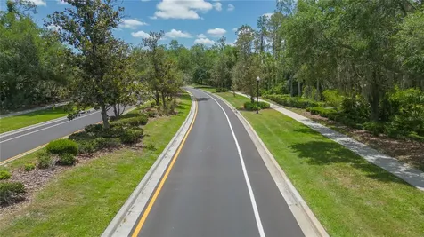 26731 Winged Elm Drive Wesley Chapel FL 33544