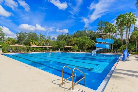 26731 Winged Elm Drive Wesley Chapel FL 33544