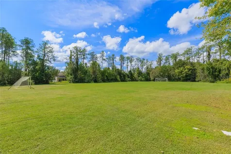 26731 Winged Elm Drive Wesley Chapel FL 33544