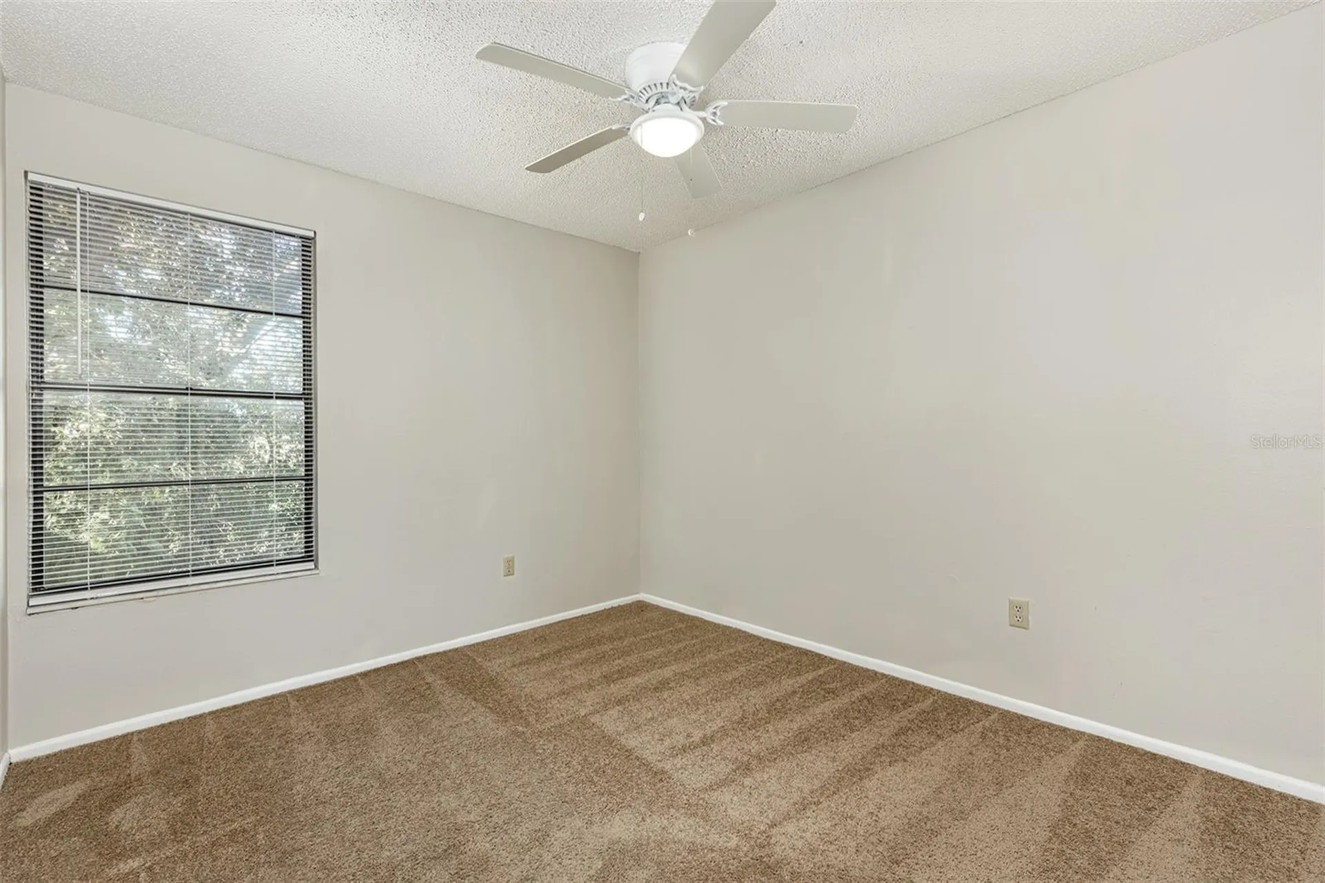 2517 E Stanley Matthew Circle Tampa FL 33604
