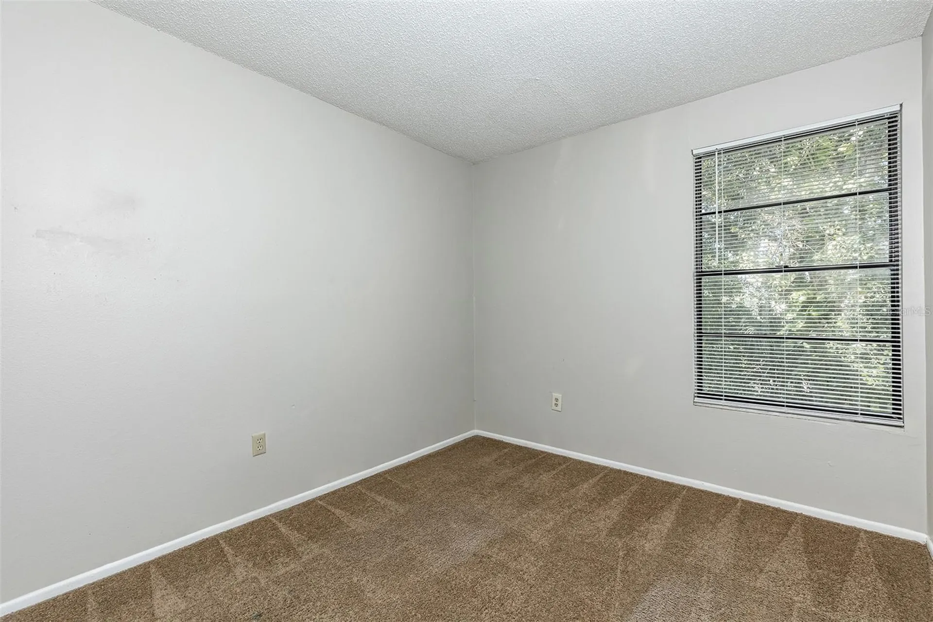2517 E Stanley Matthew Circle Tampa FL 33604