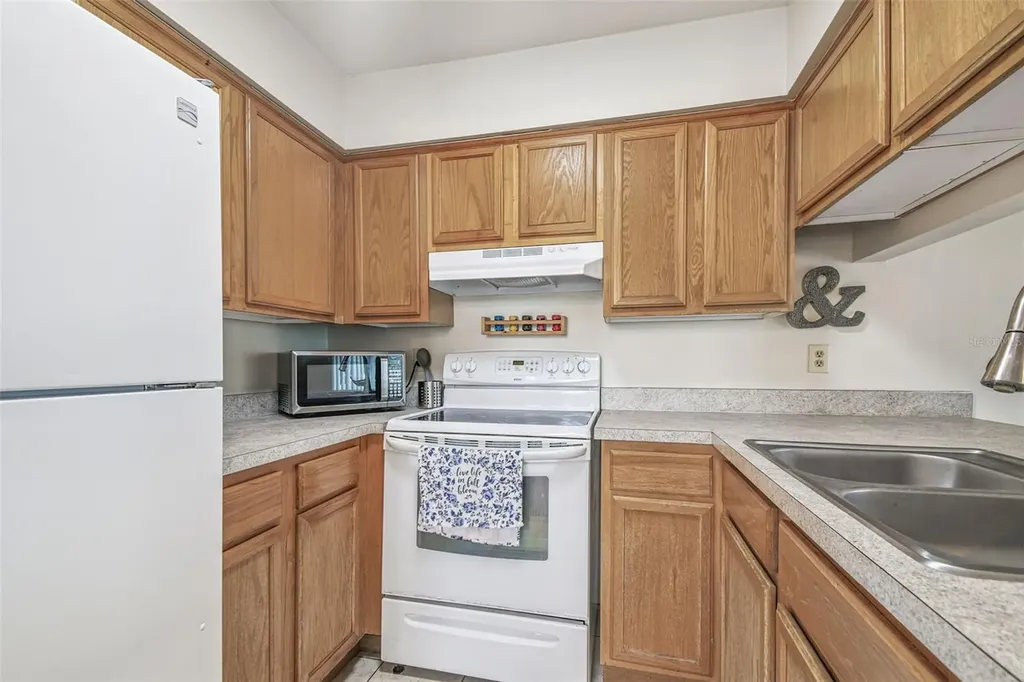 5238 Sunridge Palms Drive Tampa FL 33617