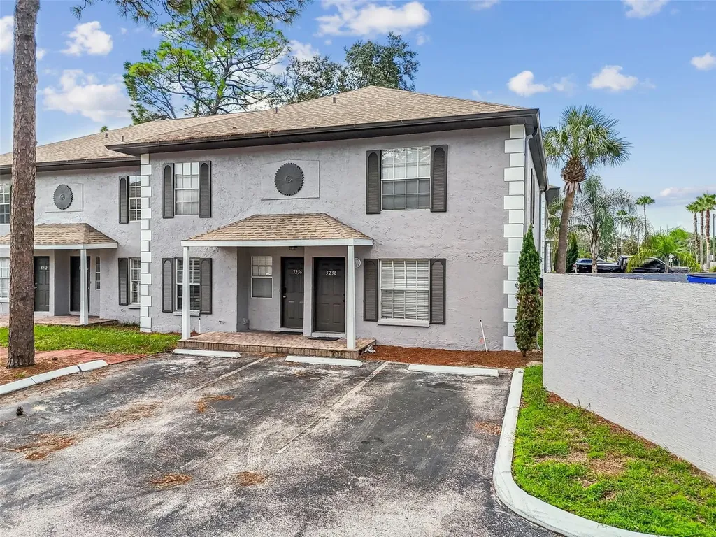 5238 Sunridge Palms Drive Tampa FL 33617