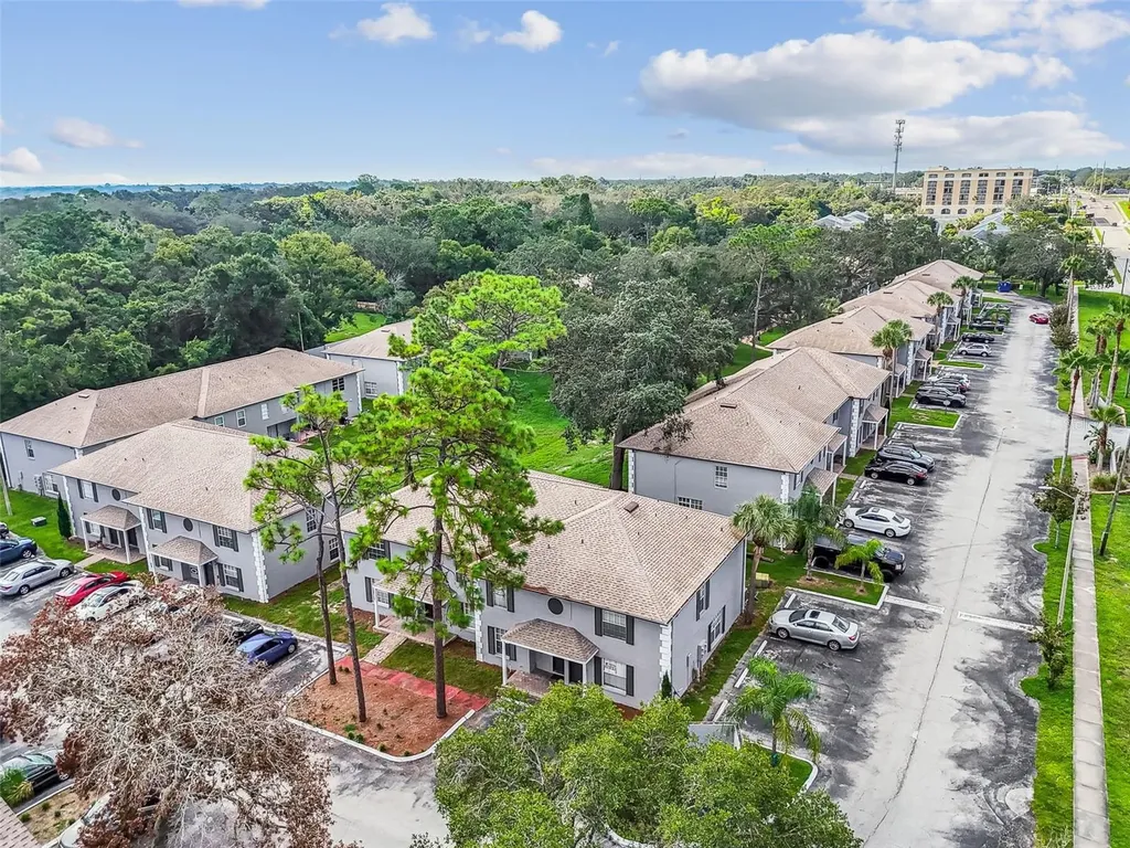 5238 Sunridge Palms Drive Tampa FL 33617