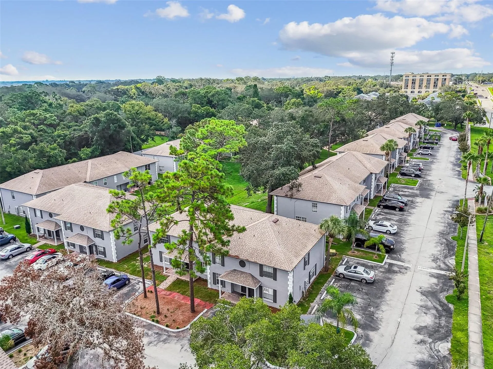 5238 Sunridge Palms Drive Tampa FL 33617