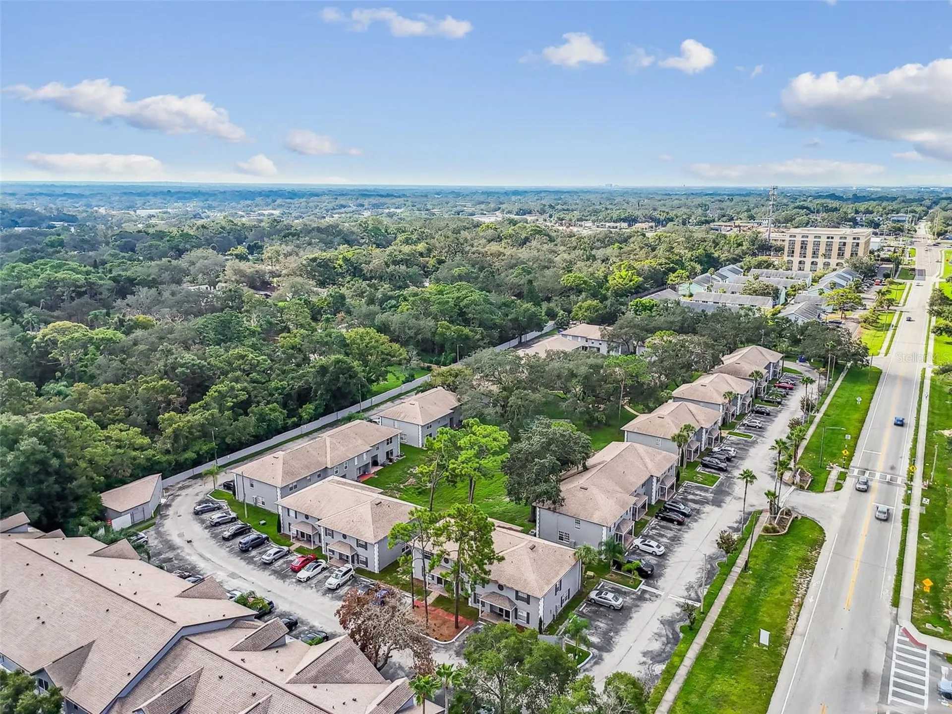 5238 Sunridge Palms Drive Tampa FL 33617