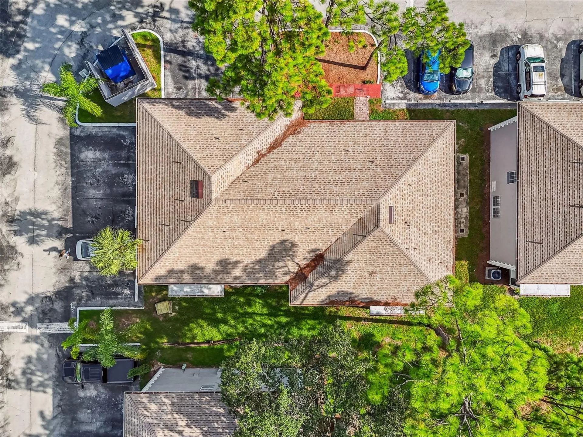 5238 Sunridge Palms Drive Tampa FL 33617