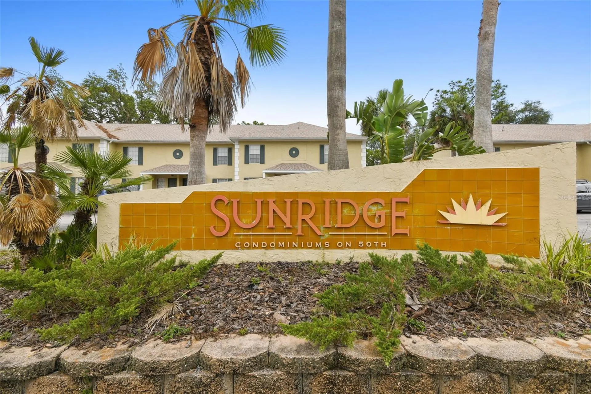 5238 Sunridge Palms Drive Tampa FL 33617
