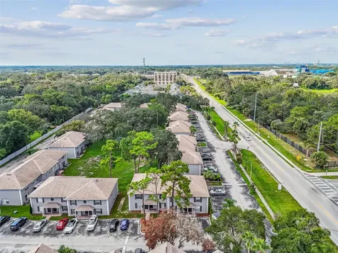 5238 Sunridge Palms Drive Tampa FL 33617