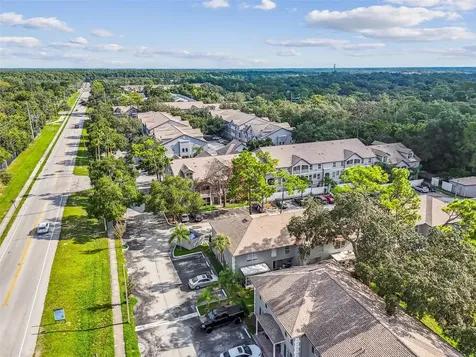 5238 Sunridge Palms Drive Tampa FL 33617