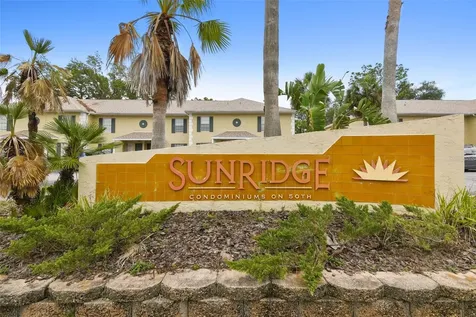 5238 Sunridge Palms Drive Tampa FL 33617