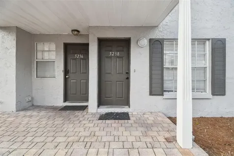 5238 Sunridge Palms Drive Tampa FL 33617
