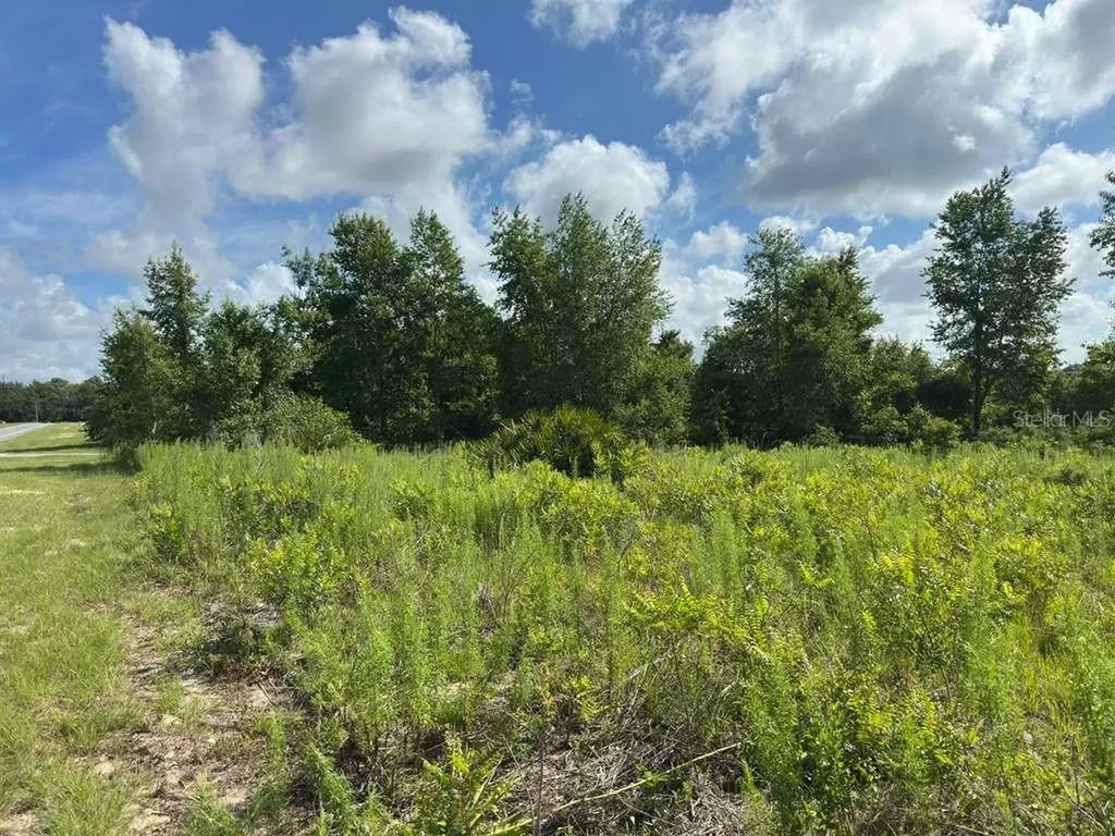 Tbd Marion Oaks Boulevard Ocala FL 34473