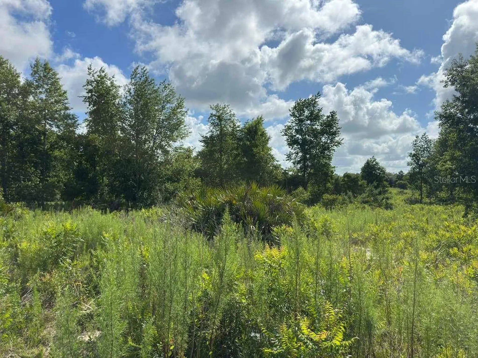 Tbd Marion Oaks Boulevard Ocala FL 34473