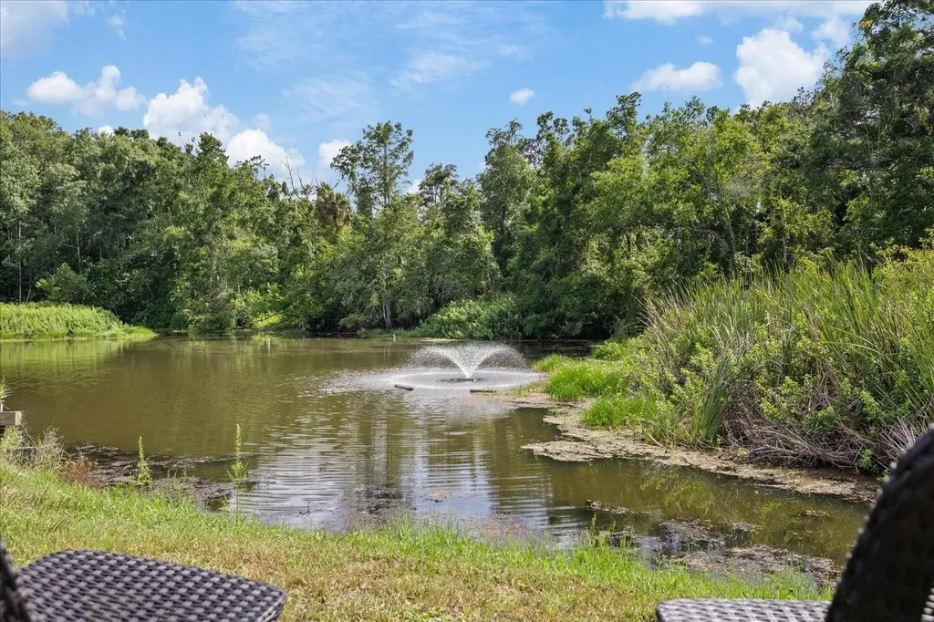 11635 Bayonet Lane New Port Richey FL 34654