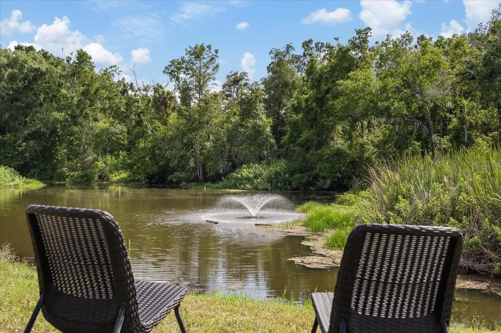 11635 Bayonet Lane New Port Richey FL 34654