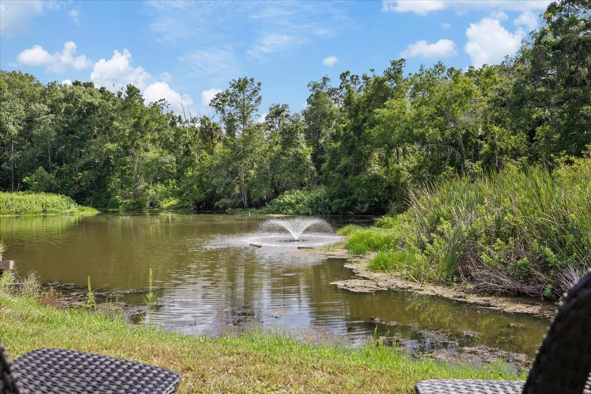 11635 Bayonet Lane New Port Richey FL 34654