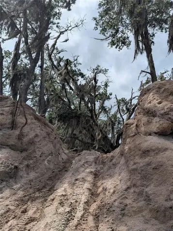 Holopaw Groves Road St Cloud FL 34771