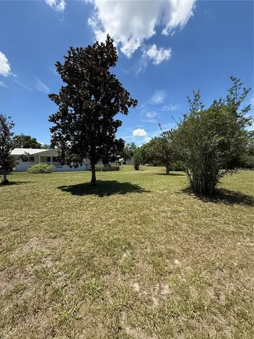 7390 180th Street Mc Alpin FL 32062