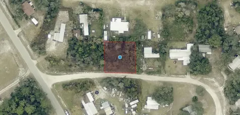 Tbd Palmetto Circle Paisley FL 32767