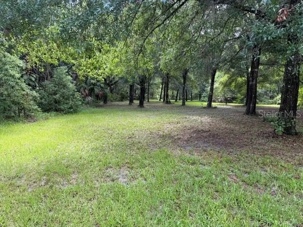 1555 Church Street Pierson FL 32180