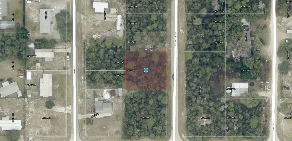 Tbd Palmetto Street Paisley FL 32767