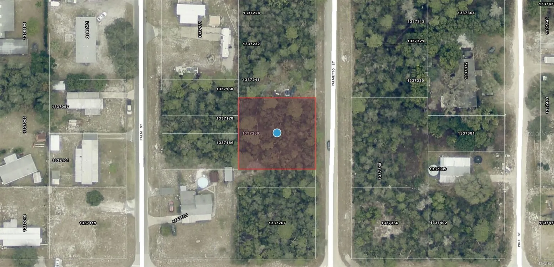 Tbd Palmetto Street Paisley FL 32767
