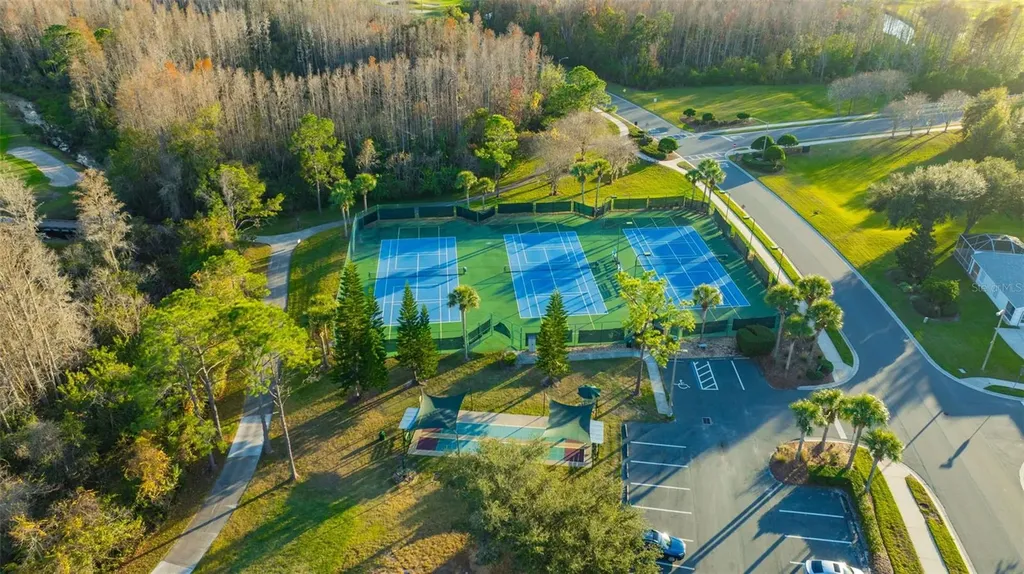 20828 Eustis Road Land O Lakes FL 34637