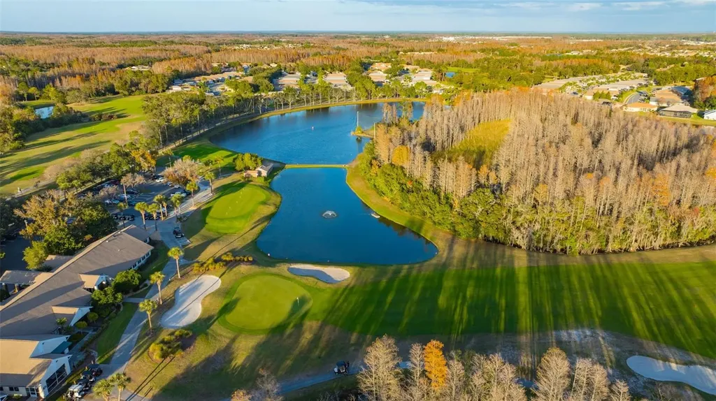20828 Eustis Road Land O Lakes FL 34637
