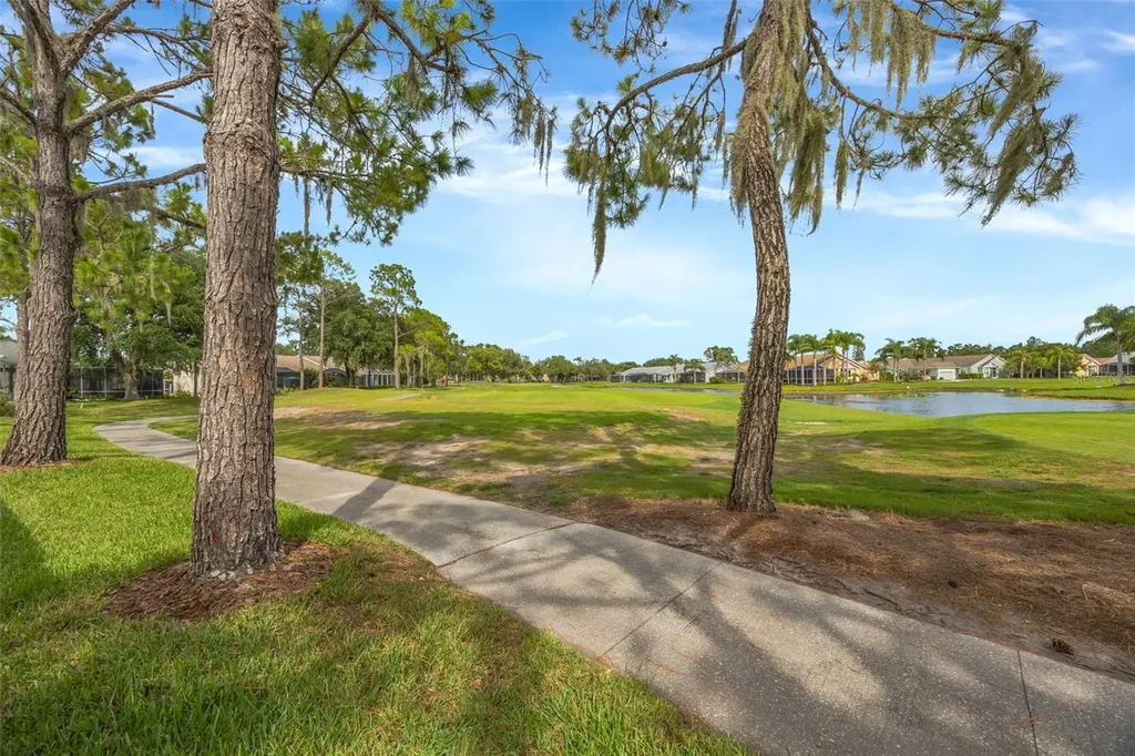 20828 Eustis Road Land O Lakes FL 34637
