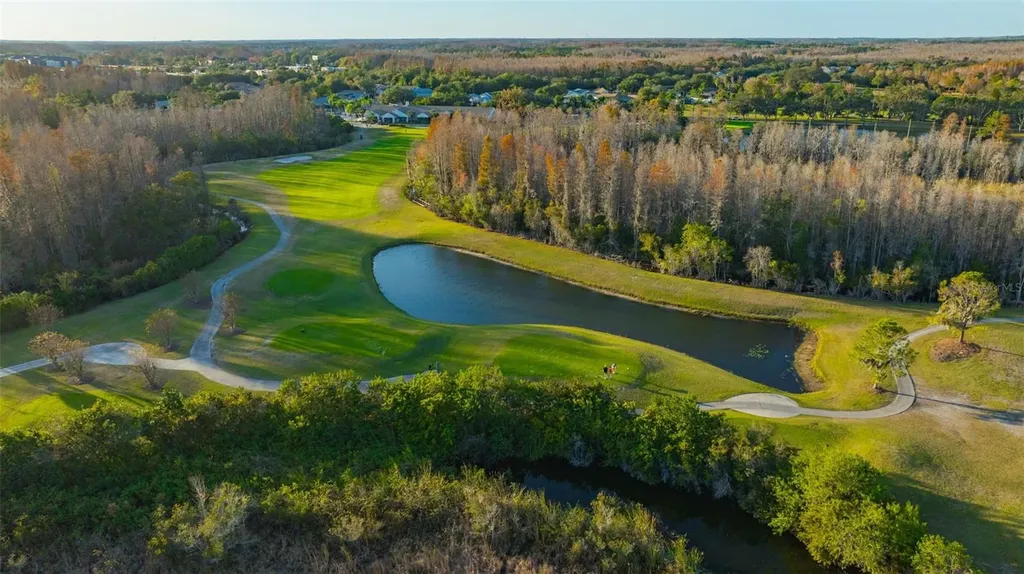 20828 Eustis Road Land O Lakes FL 34637