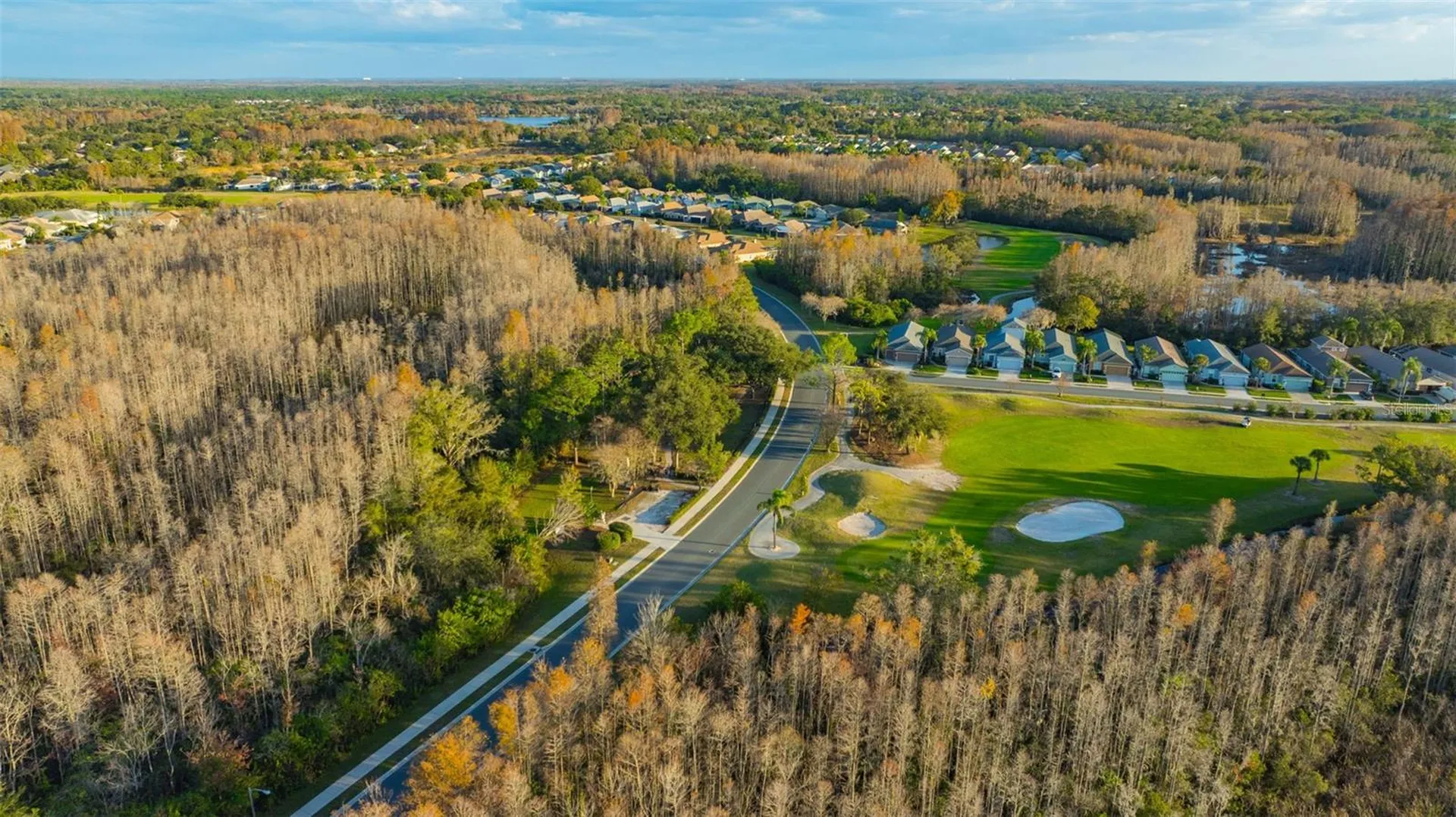 20828 Eustis Road Land O Lakes FL 34637
