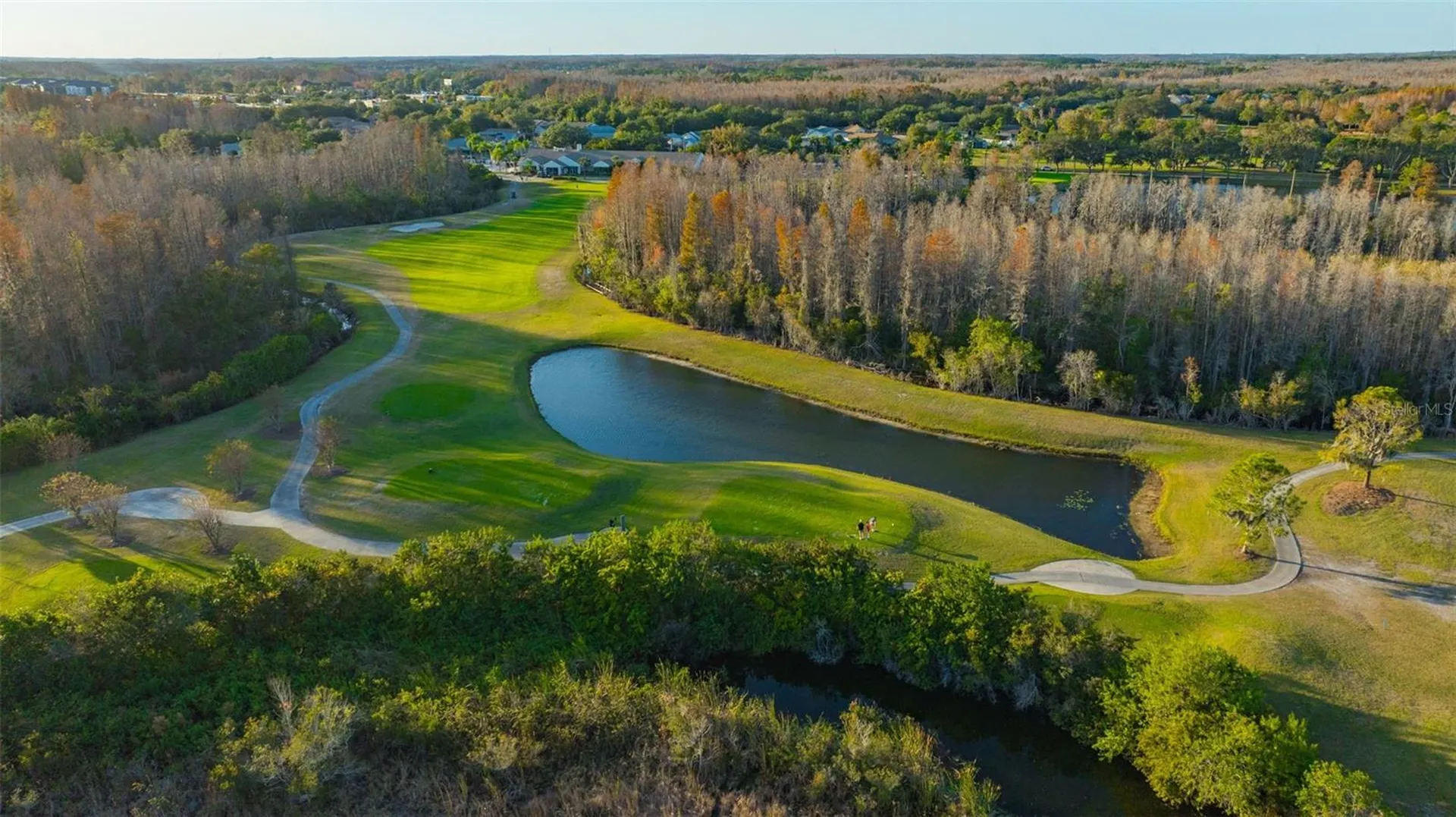 20828 Eustis Road Land O Lakes FL 34637