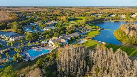 20828 Eustis Road Land O Lakes FL 34637