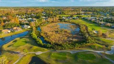 20828 Eustis Road Land O Lakes FL 34637