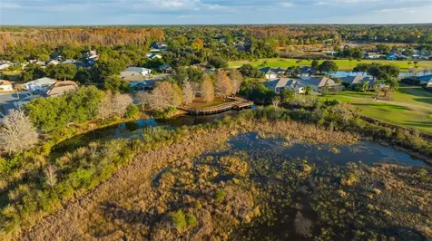 20828 Eustis Road Land O Lakes FL 34637