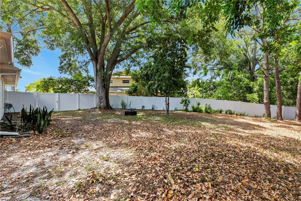 3153 Carlos Drive Dunedin FL 34698