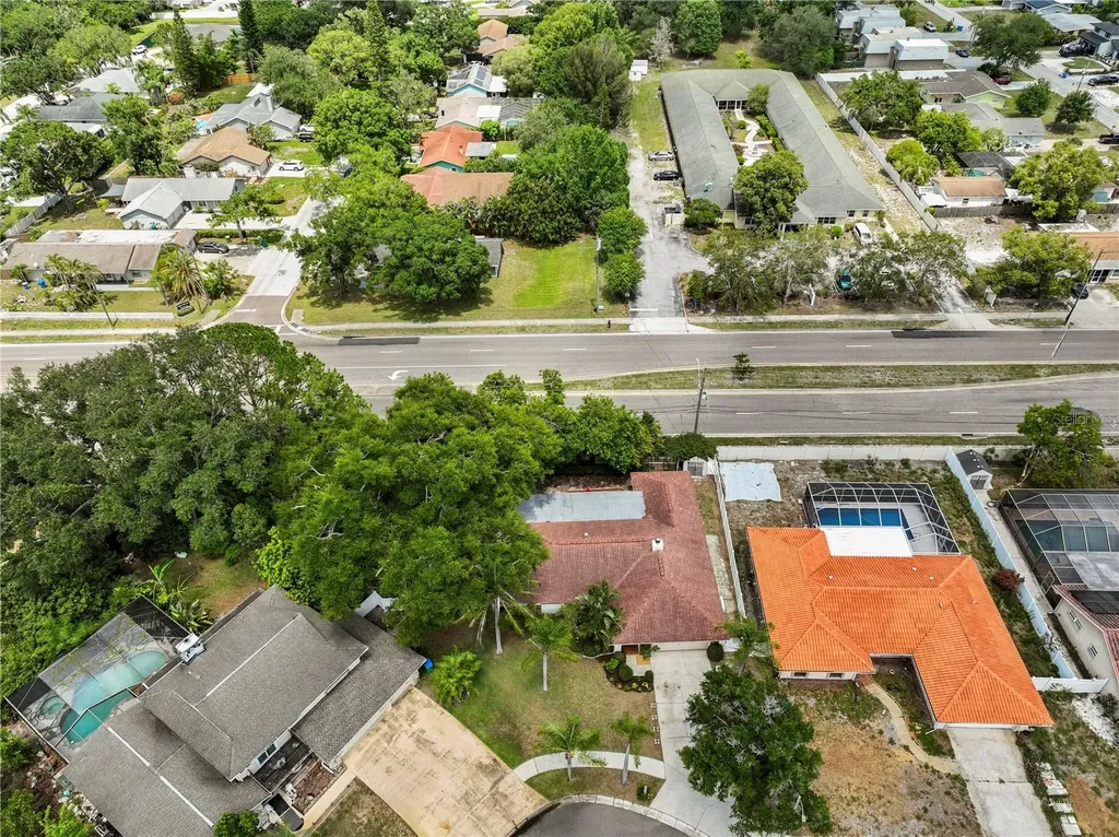 3153 Carlos Drive Dunedin FL 34698