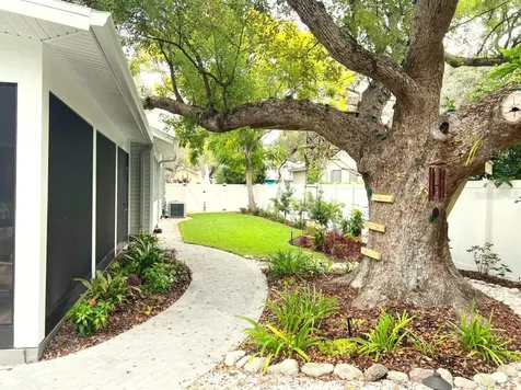 553 Scotland Street Dunedin FL 34698