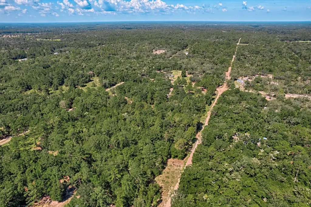 Tbd NE 82nd Place Bronson FL 32621