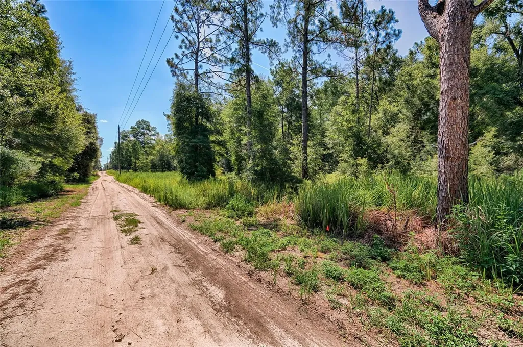 Tbd NE 82nd Place Bronson FL 32621