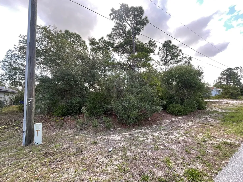 515 & 517 Concert Drive Lake Placid FL 33852