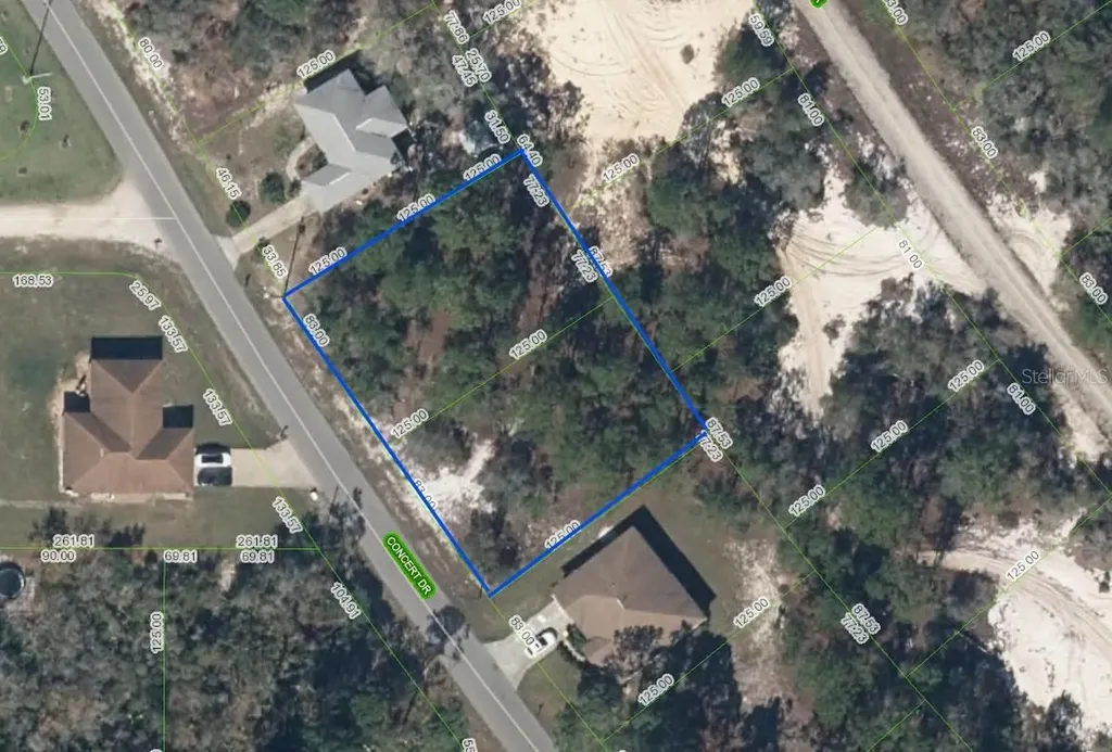 515 & 517 Concert Drive Lake Placid FL 33852