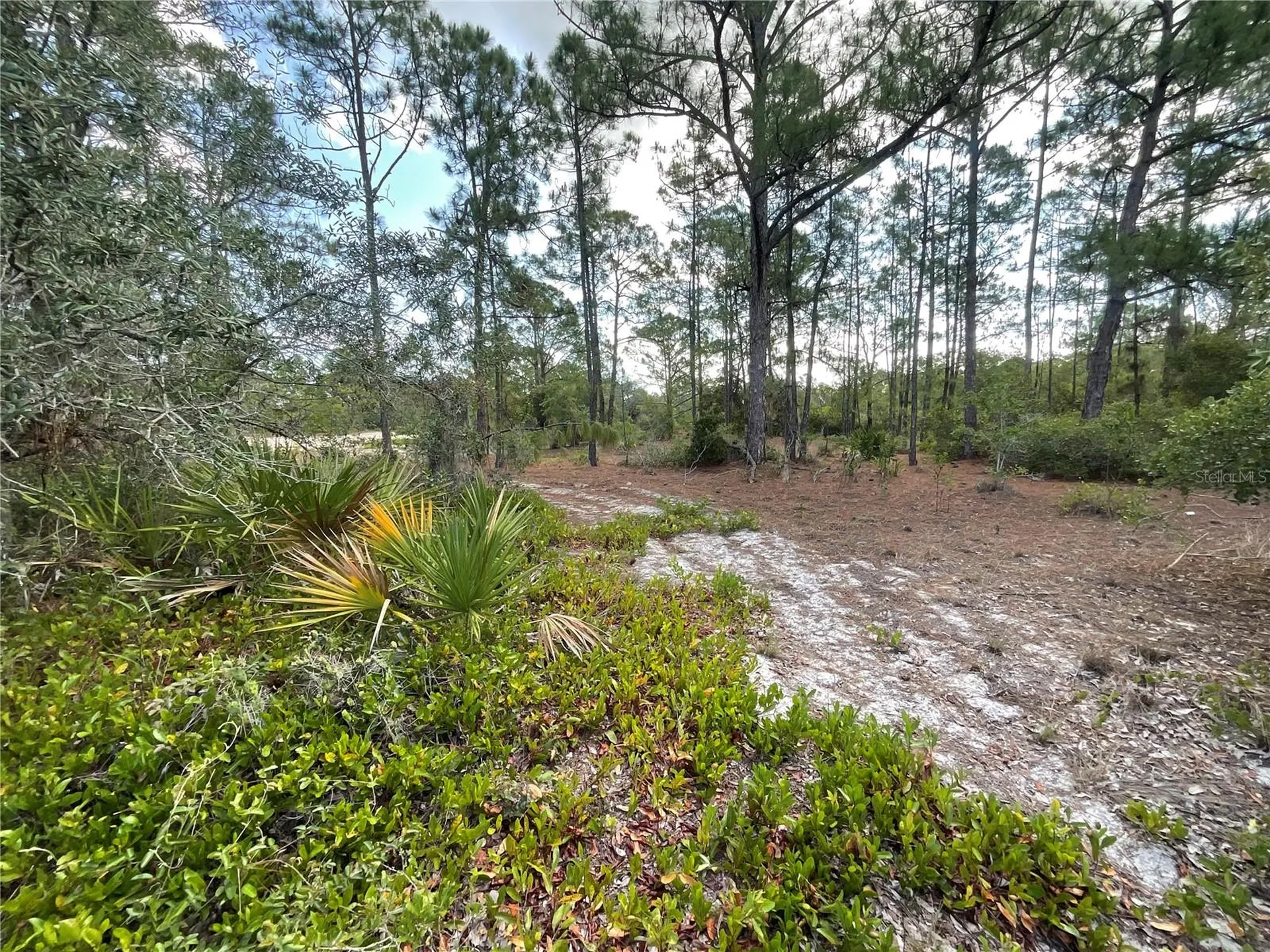 515 & 517 Concert Drive Lake Placid FL 33852