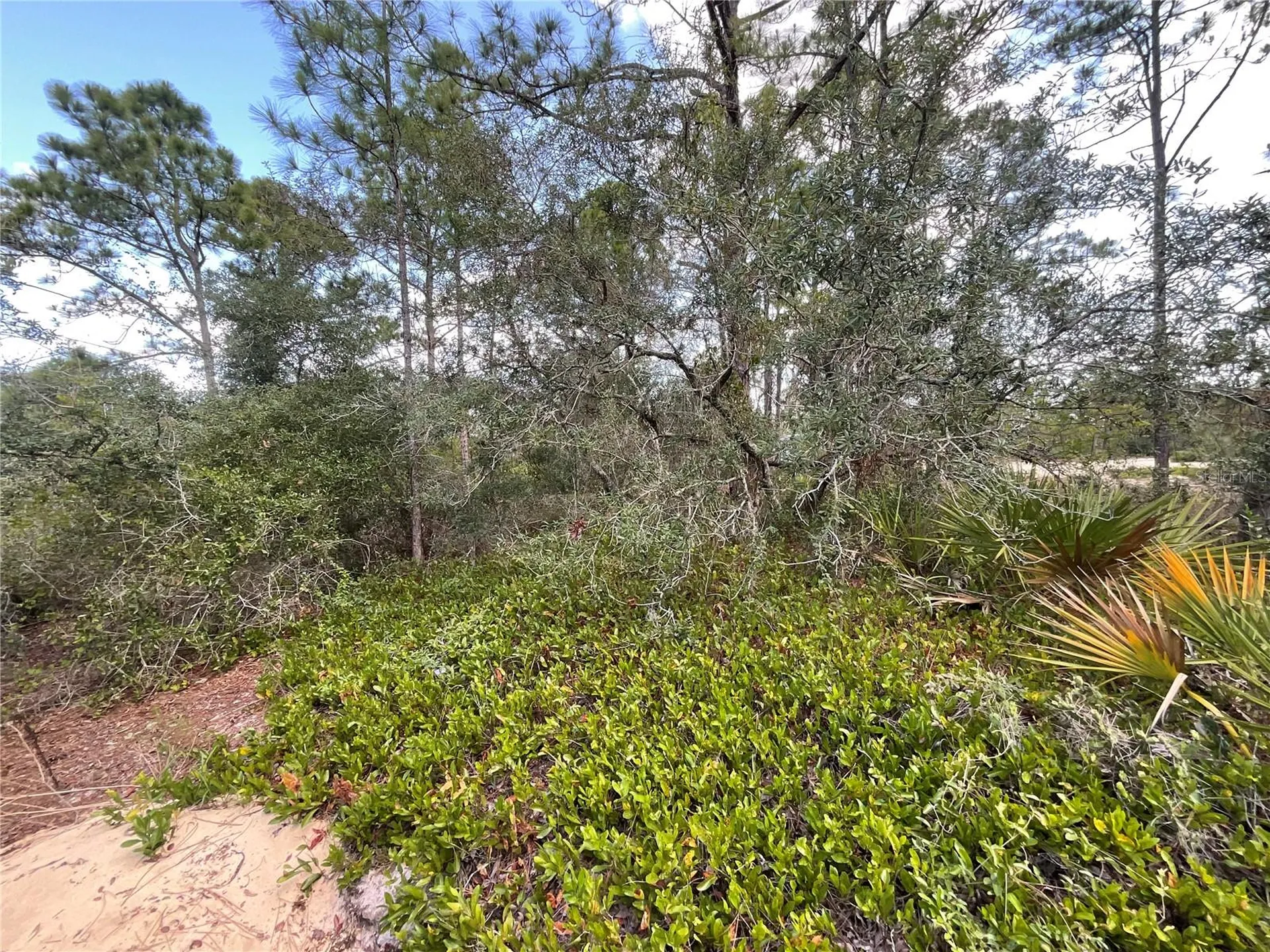 515 & 517 Concert Drive Lake Placid FL 33852