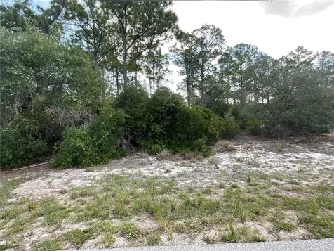 515 Concert Drive Lake Placid FL 33852