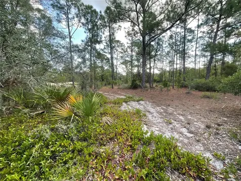515 Concert Drive Lake Placid FL 33852
